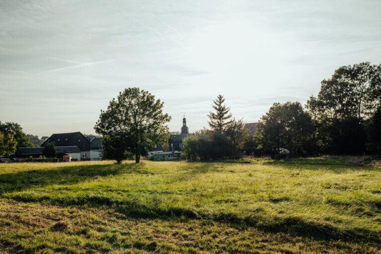 Les erreurs à éviter lors de l’achat d’un terrain