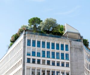 Immobilier écologique : pourquoi miser sur le durable