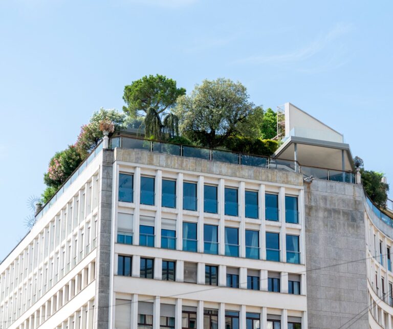 Immobilier écologique : pourquoi miser sur le durable